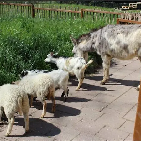 Near The With Garden And Playgroun Villa