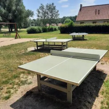 Near The With Garden And Playgroun Villa Ewijk
